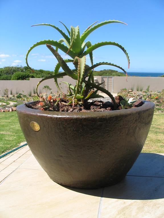 Bella Vista Onrus Villa Hermanus Exterior foto